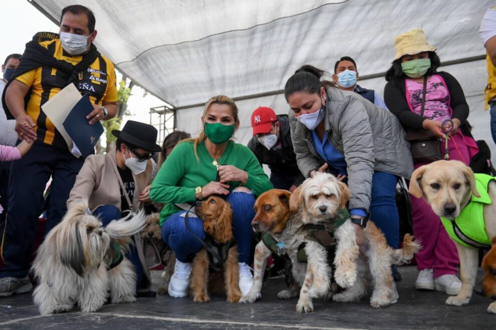 Reglamentación de la Ley de Protección Animal anunciada por la Presidente