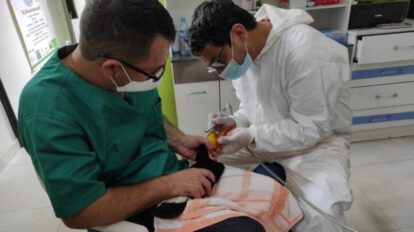Tuki Tuki el tucán durante la intervención veterinaria