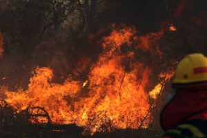 Incendios forestales en Santa Cruz