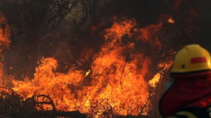 Incendios forestales en Santa Cruz