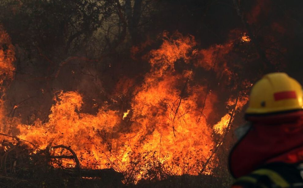 Incendios forestales en Santa Cruz