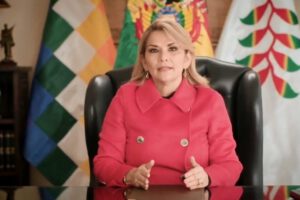 Intromisión de Argentina en Bolivia denunciada por Jeanine Áñez
