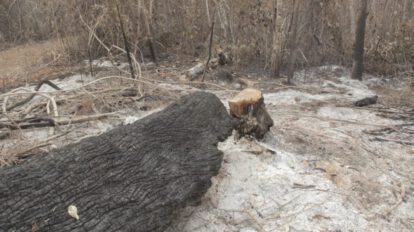 Incendio en la reserva Copaibo