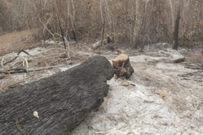 Incendio en la reserva Copaibo
