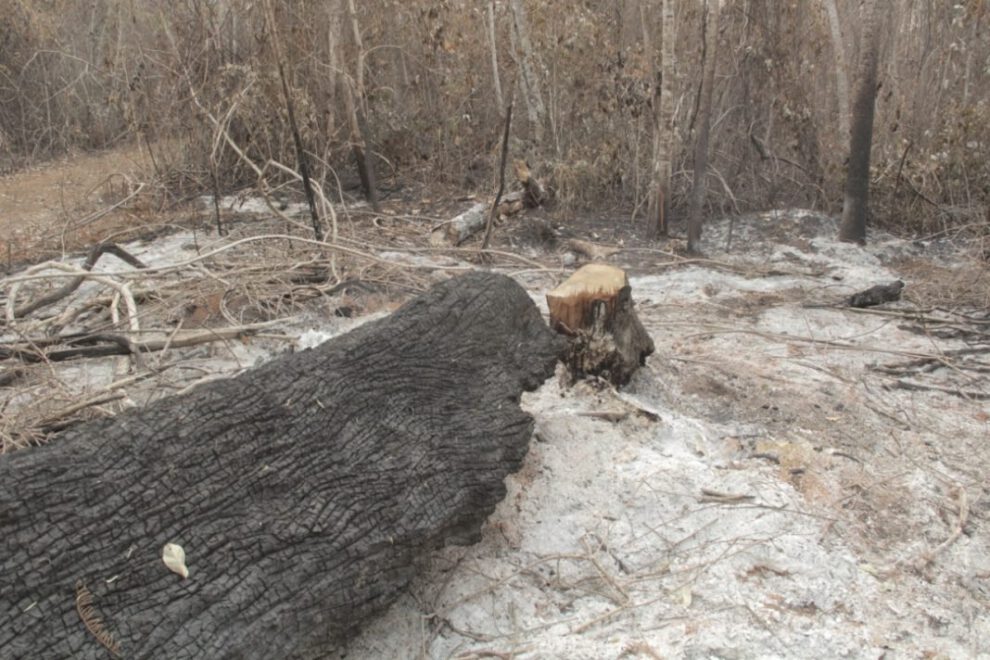 Incendio en la reserva Copaibo