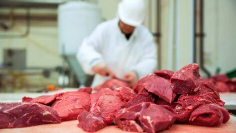 exportación de carne bovina a Rusia