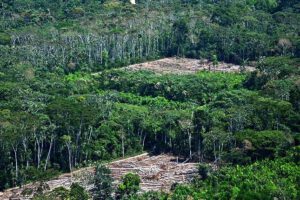 Diálogo Político por los Bosques en Bolivia