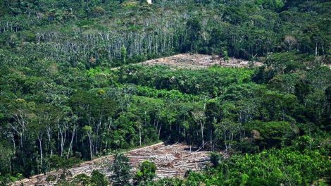 Diálogo Político por los Bosques en Bolivia