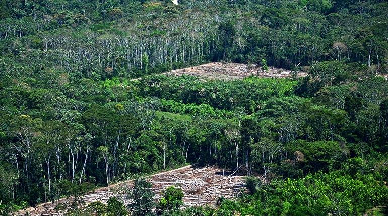 Diálogo Político por los Bosques en Bolivia