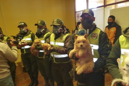 Rescate de mascotas en El Alto por la Policía Boliviana