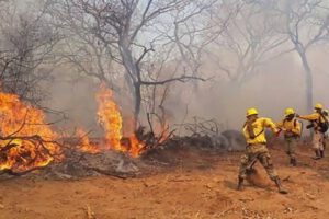 Incendios en Concepción controlados por Fuerzas Armadas