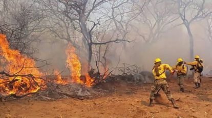 Incendios en Concepción controlados por Fuerzas Armadas