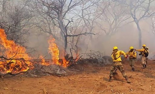 Incendios en Concepción controlados por Fuerzas Armadas