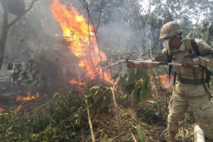 Capacitación sobre incendios forestales para las Fuerzas Armadas