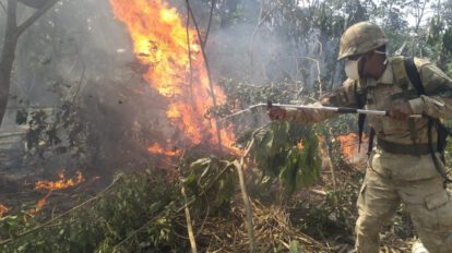 Capacitación sobre incendios forestales para las Fuerzas Armadas