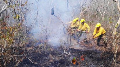 Incendios forestales en San Ignacio