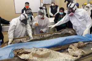 Peritaje del cadáver de Clavijo en la inspección forense