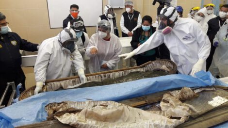 Peritaje del cadáver de Clavijo en la inspección forense