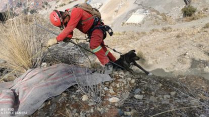 Rescate de can por Bomberos Antofagasta