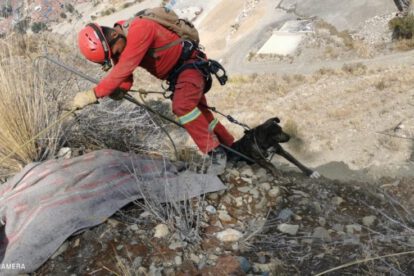 Rescate de can por Bomberos Antofagasta