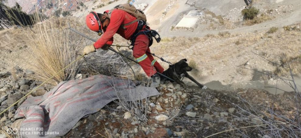 Rescate de can por Bomberos Antofagasta