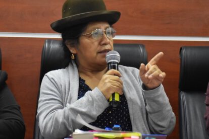 Denuncia del Gobierno contra jueza que benefició a María Eugenia Choque
