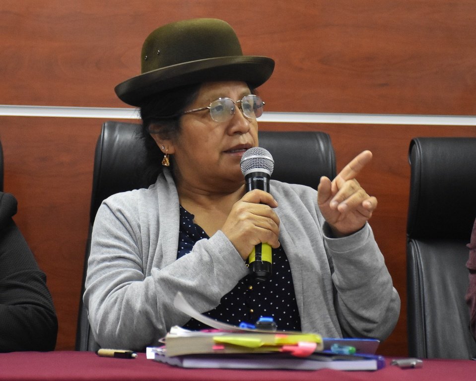 Denuncia del Gobierno contra jueza que benefició a María Eugenia Choque