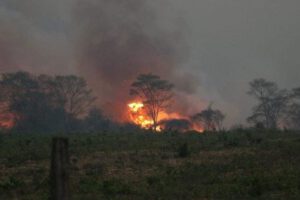 Desastre departamental en Santa Cruz por incendios
