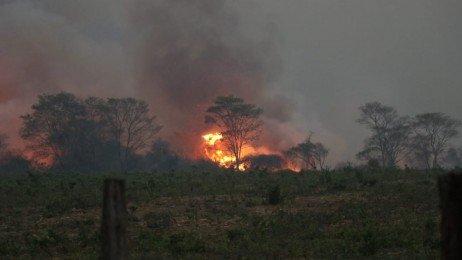 Desastre departamental en Santa Cruz por incendios