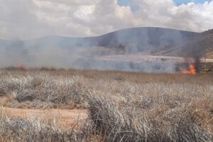 Incendios en la Laguna de los Patos