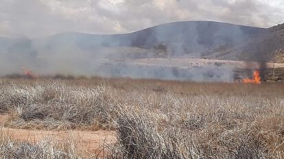 Incendios en la Laguna de los Patos