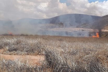Incendios en la Laguna de los Patos