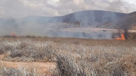 Incendios en la Laguna de los Patos