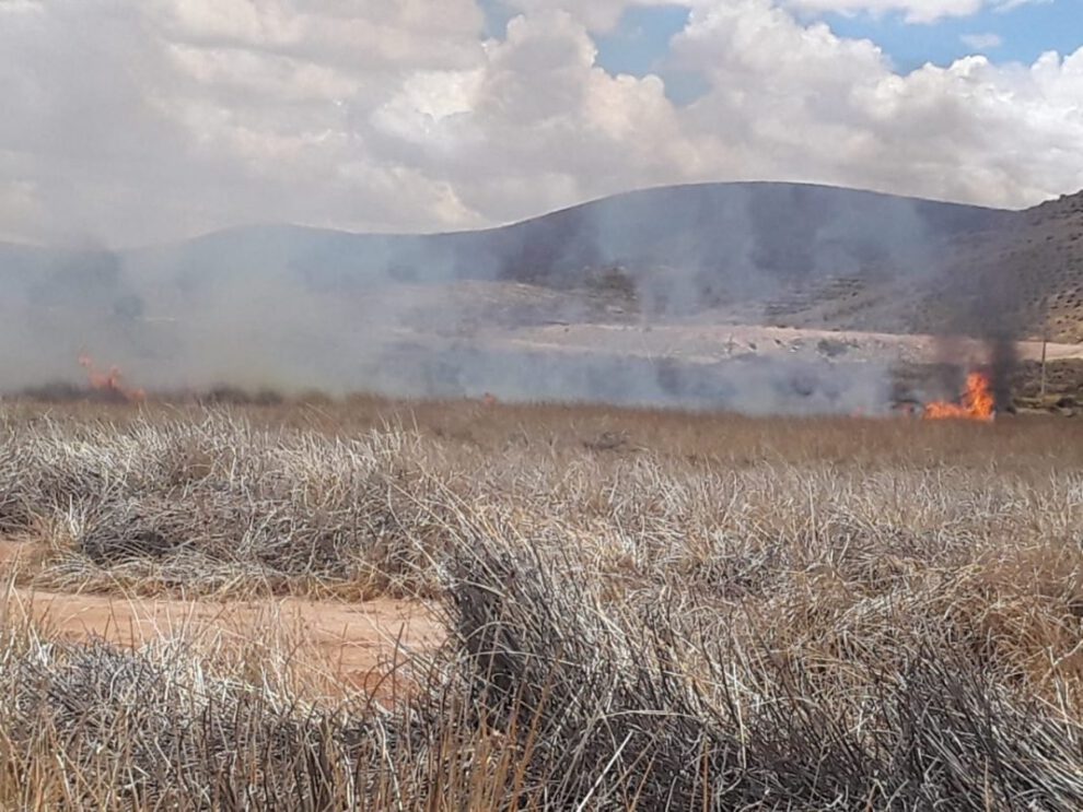 Incendios en la Laguna de los Patos