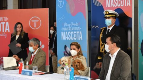 Usuarios podrán transportarse junto a sus mascotas en las cabinas de Mi Teleférico