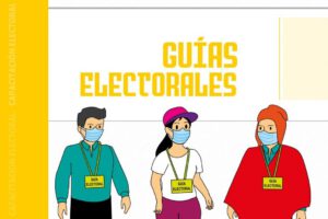 Guía electoral en las Elecciones Generales 2020