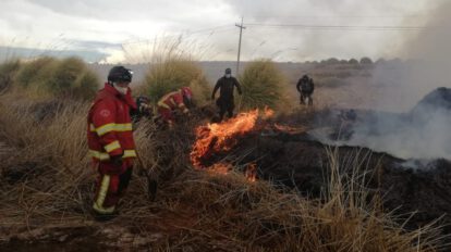 Incendio en Laguna de los Patos controlado por Bomberos