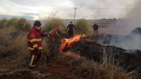 Incendio en Laguna de los Patos controlado por Bomberos