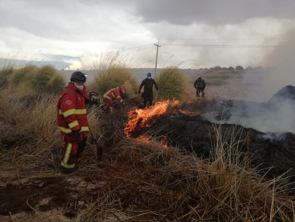 Incendio en Laguna de los Patos controlado por Bomberos