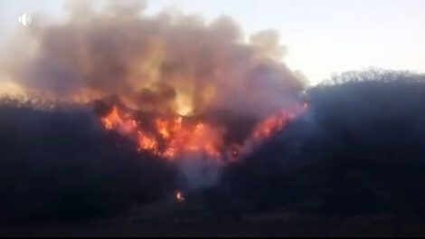 Desastre departamental en Chuquisaca por incendios y sequía