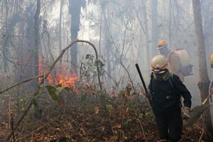 Incendios en Santa Cruz