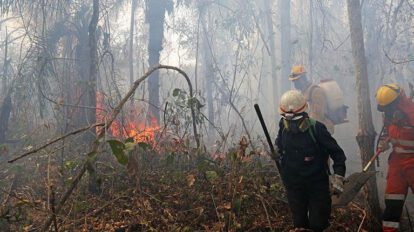 Incendios en Santa Cruz