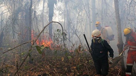 Incendios en Santa Cruz