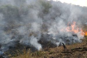 Incendios forestales en Bolivia