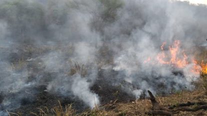 Incendios forestales en Bolivia