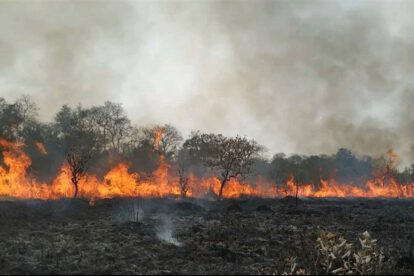 Incendios en Bolivia afectan más de un millón de hectáreas