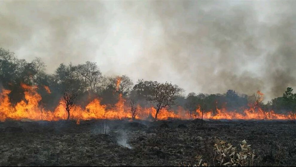 Incendios en Bolivia afectan más de un millón de hectáreas