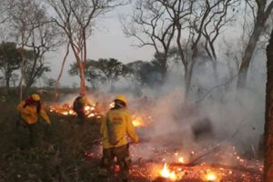 Incendios forestales en la Chiquitanía