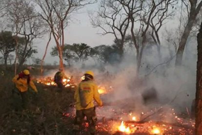 Incendios forestales en la Chiquitanía