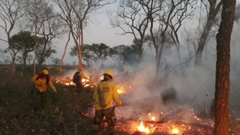 Incendios forestales en la Chiquitanía
